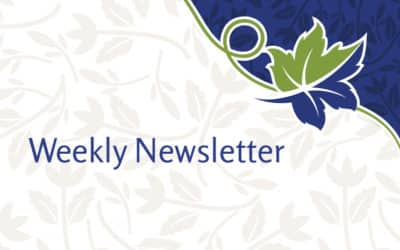 Weekly Resident and Family Letter – 17 Nov 21