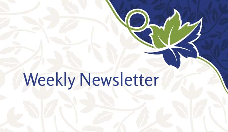 Weekly Resident and Family Letter – 10 Nov 21